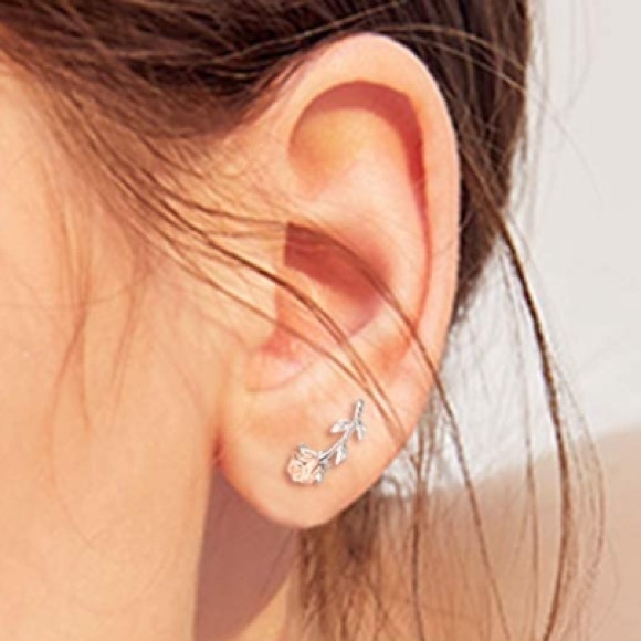 Enchanted Rose Beauty and the Beast Earrings - Picture 6 of 7